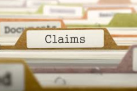 Other Claim evidence 1